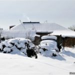 Armenia -- High prices for natural gas forces villagers to burn wood for heating, December 2012